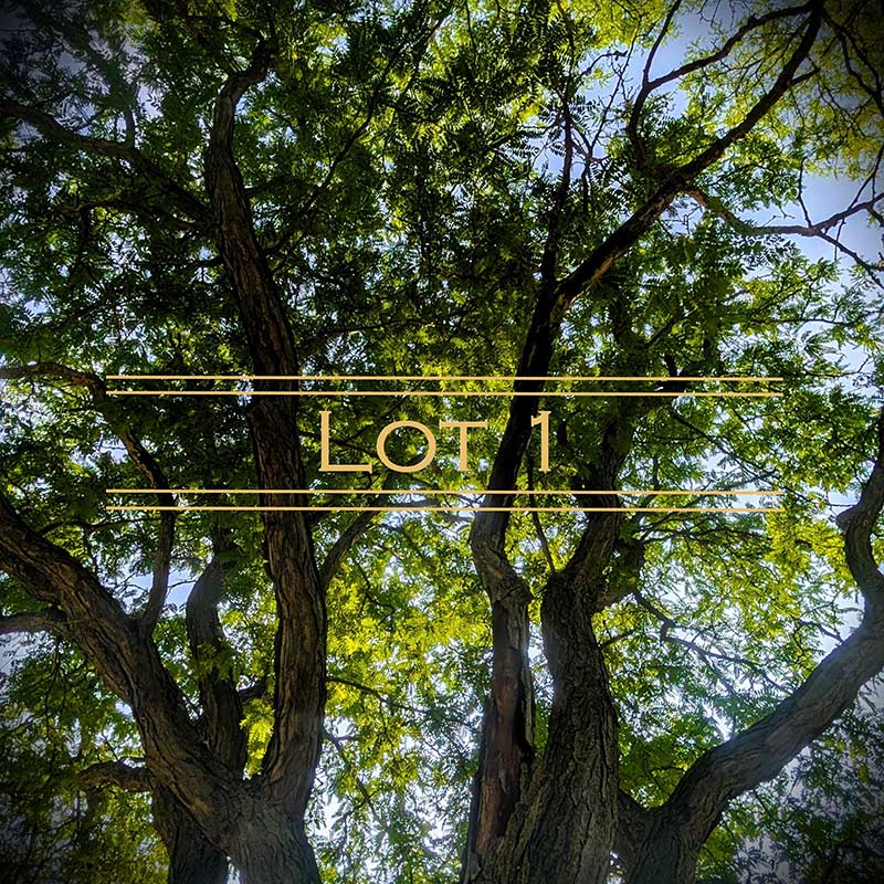 Three Oaks Reserve residential lot 1 graphic.