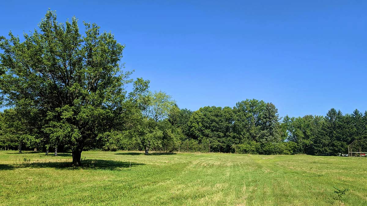 Image of residential lot 11 at Three Oaks Reserve.