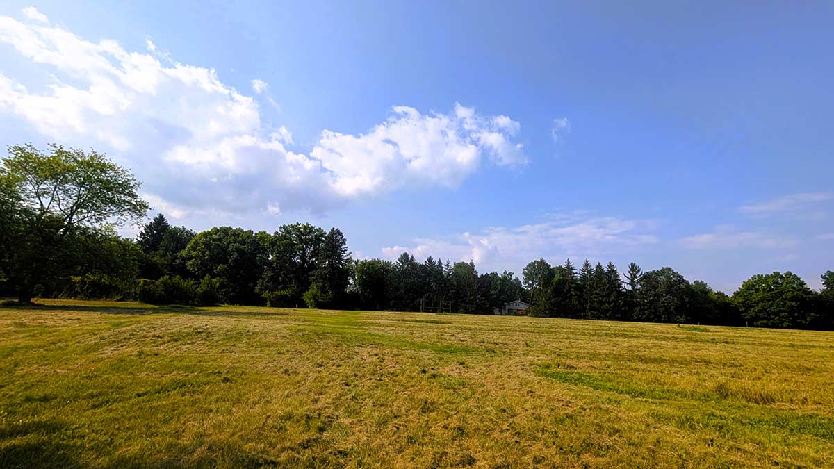 Image of residential lot 12 at Three Oaks Reserve.