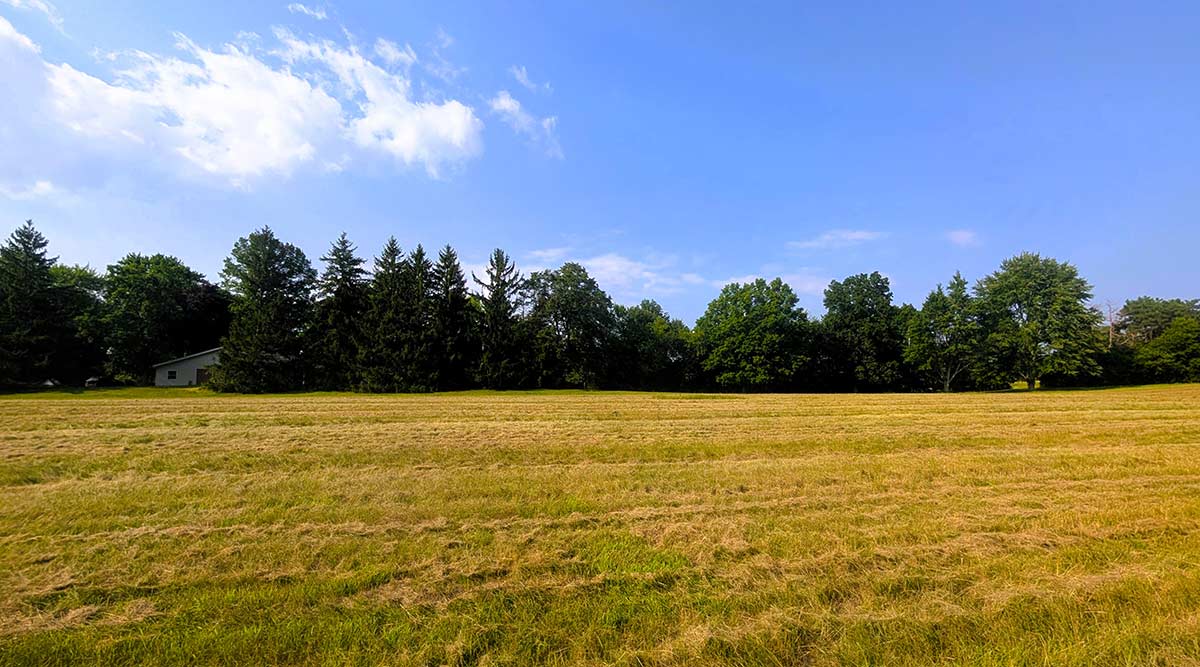 Image of residential lot 14 at Three Oaks Reserve.