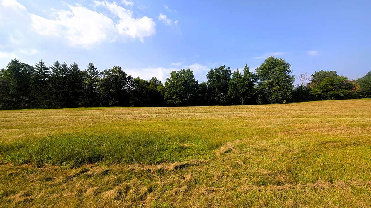 Image of residential lot 15 at Three Oaks Reserve.