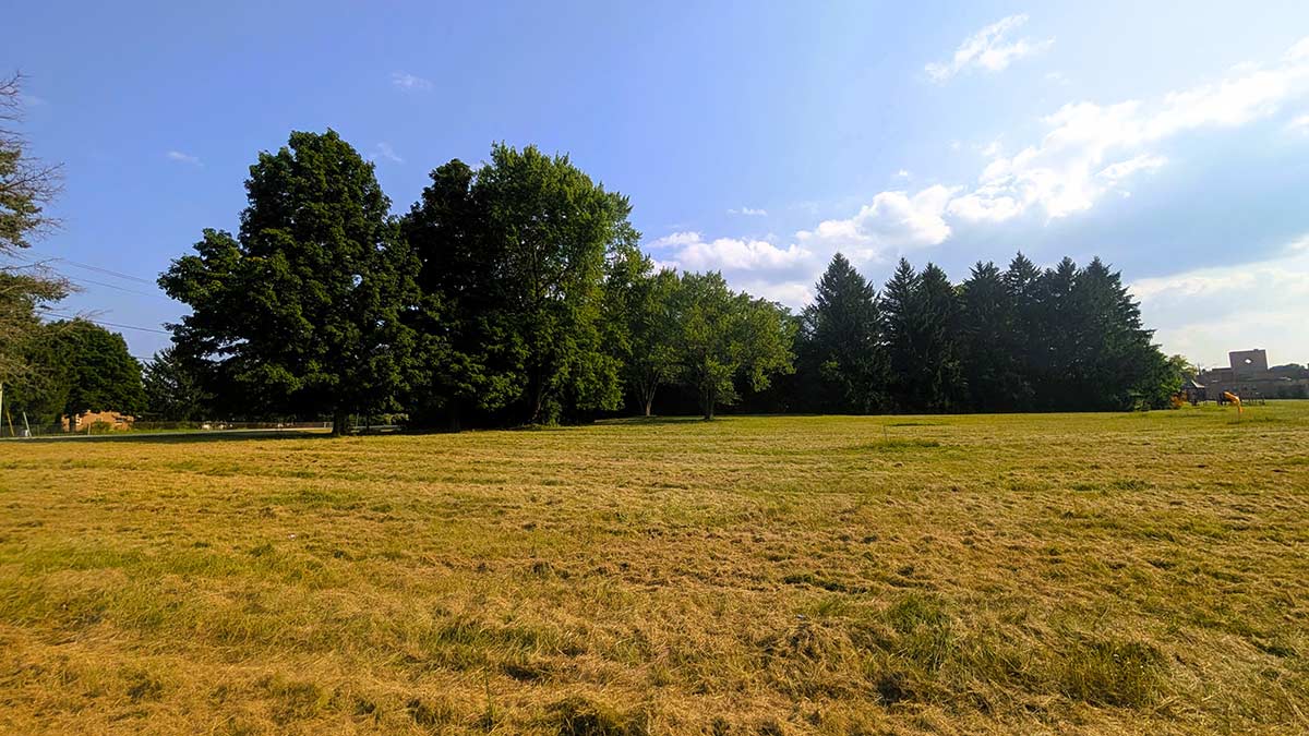 Image of residential lot 17 at Three Oaks Reserve.
