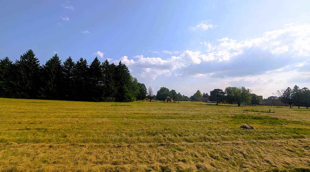 Image of residential lot 19 at Three Oaks Reserve.