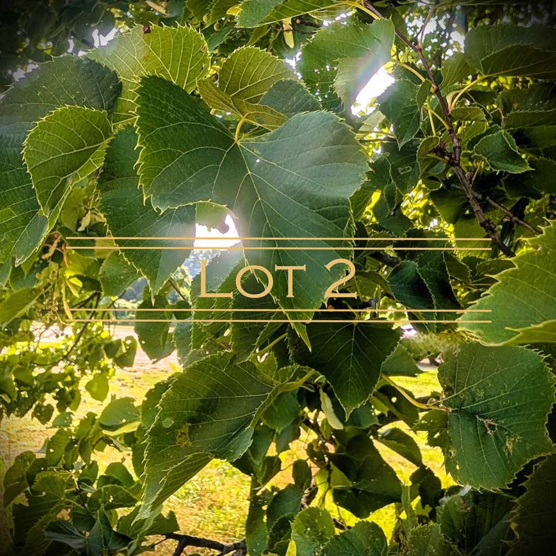 Three Oaks Reserve residential lot 2 graphic.