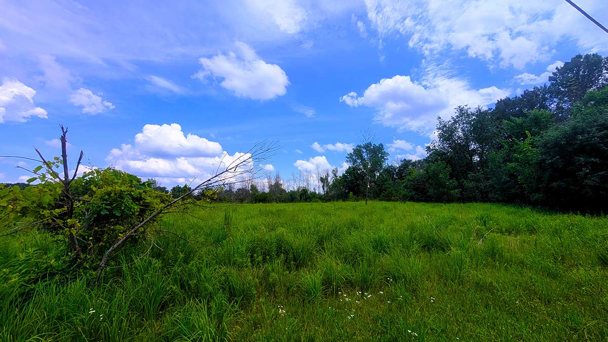 Image of residential lot 28 at Three Oaks Reserve.