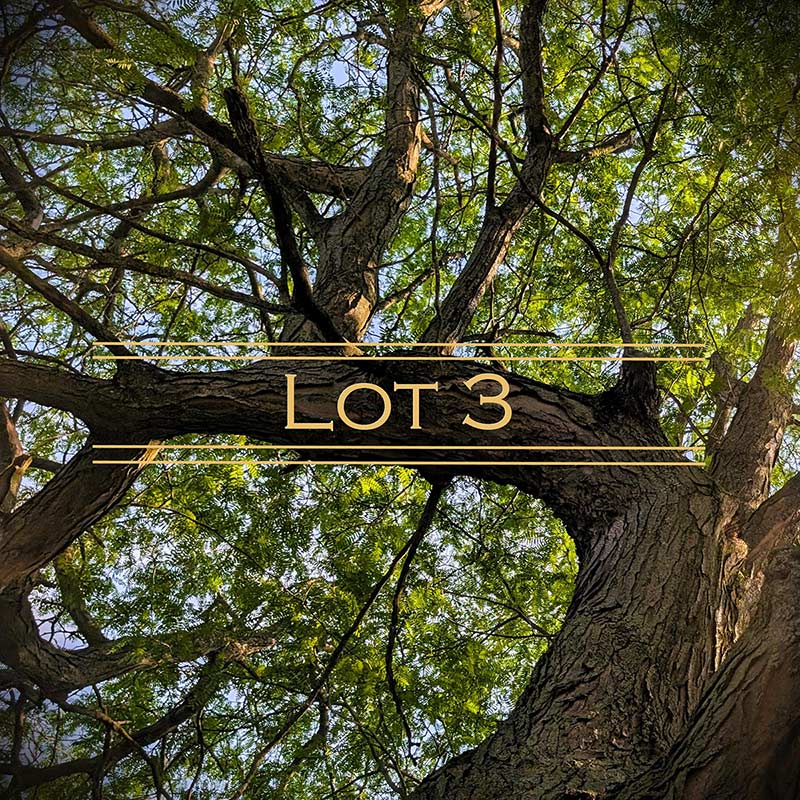 Three Oaks Reserve residential lot 3 graphic.