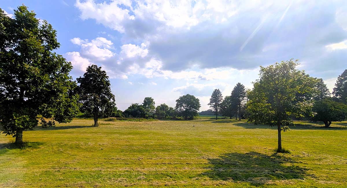Image of residential lot 3 at Three Oaks Reserve.