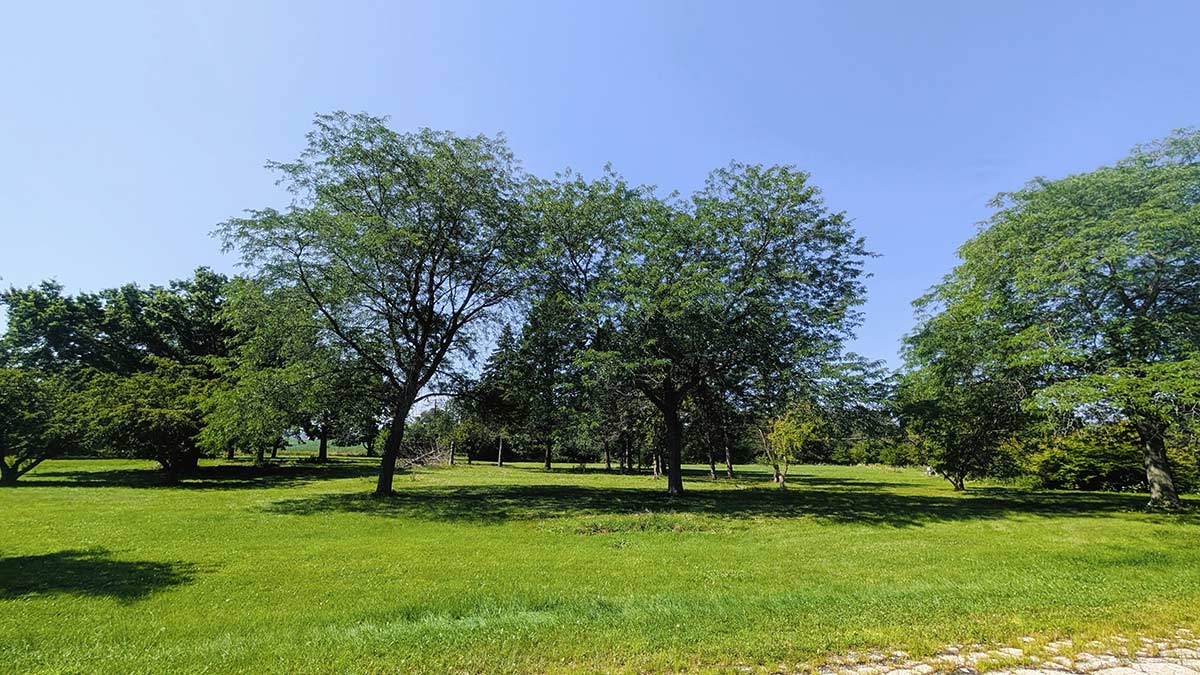 Image of residential lot 4 at Three Oaks Reserve.
